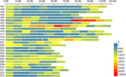 Identification of novel candidate loci and genes for seed vigor-related traits in upland cotton (Gossypium hirsutum L.) via GWAS